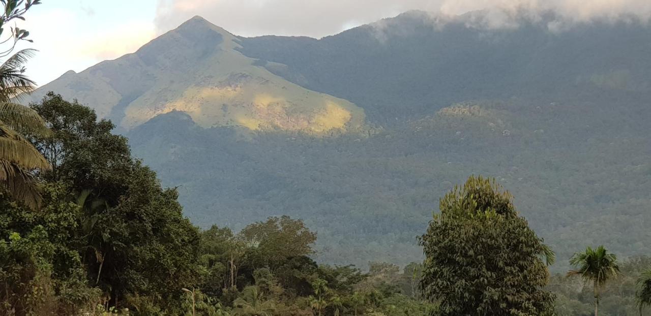 Wayanad Doubletree Villa Vythiri Luaran gambar