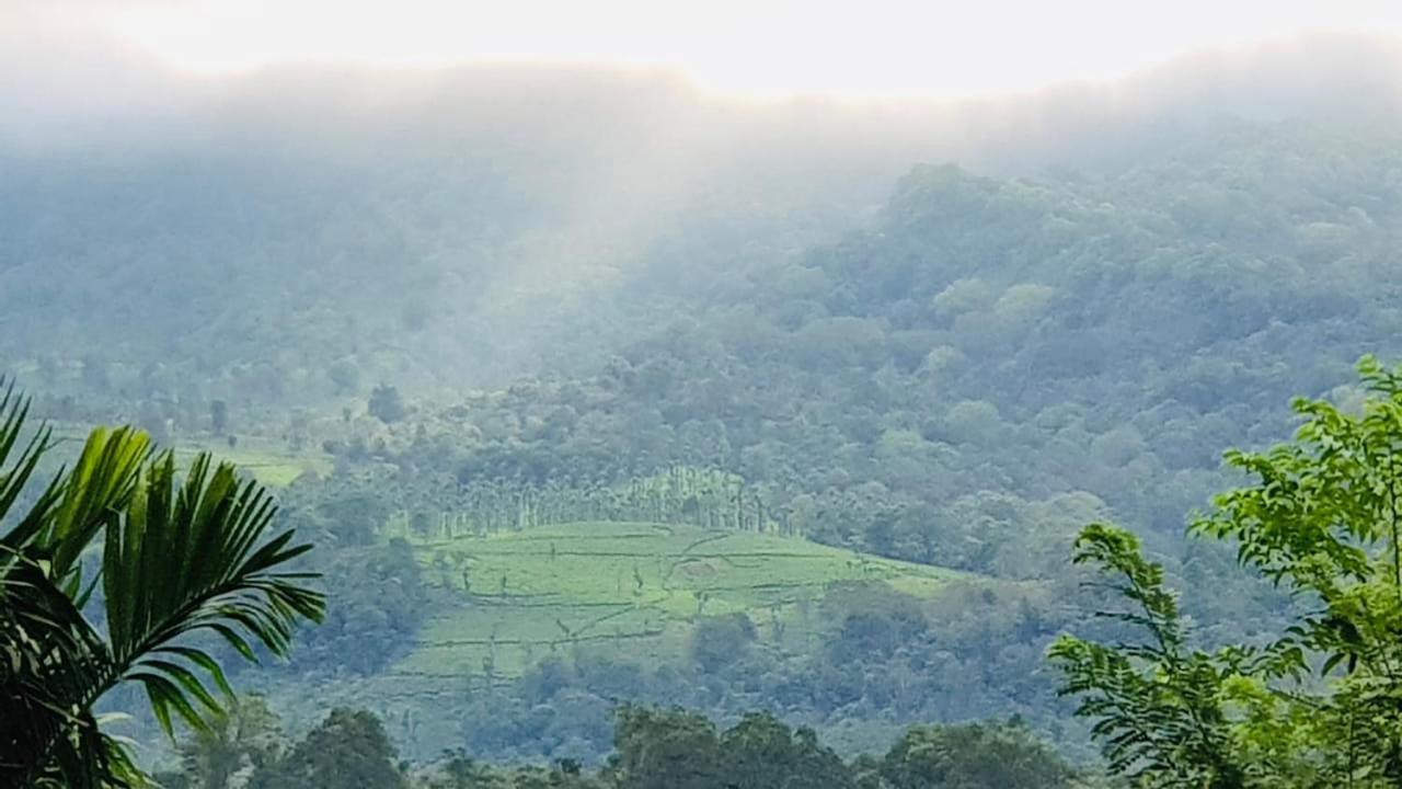 Wayanad Doubletree Villa Vythiri Luaran gambar