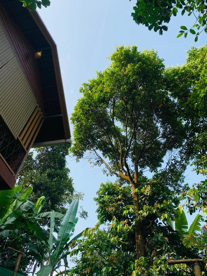 Wayanad Doubletree Villa Vythiri Luaran gambar